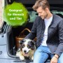 Mann mit Hund im Kofferraum, Korb und Bactador Geruchs- und Fleckenentferner geeignet für Mensch und Tier.
