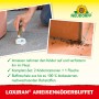 Neudorff Loxiran Ameisen-Buffet: Nachfüllbare Köderdose mit Ameisen auf Fliesen und Hand mit Köderflasche.
