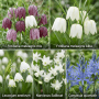 Vdvelde Aqua Bulbs Wildblumen-Mix: Fünf Sorten Blumenzwiebeln für den Teichrand, darunter Schachbrettblume, Narzissen und Camassia.