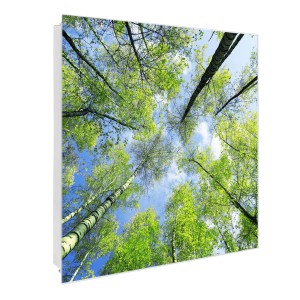 Weißer Banjado Schlüsselkasten Glas mit Baum-Motiv, 30x30cm, 50 Haken.