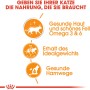 Grafik: Royal Canin Katzennahrung für gesunde Haut und Fell, Erhalt des Idealgewichts und gesunde Harnwege.