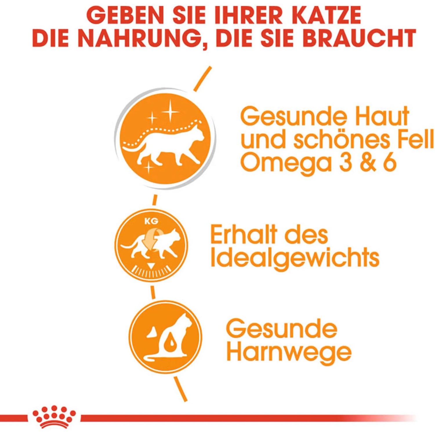 Grafik: Royal Canin Katzennahrung für gesunde Haut und Fell, Erhalt des Idealgewichts und gesunde Harnwege.