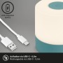 Brilo Akku-Tischleuchte Smal Blau mit USB-Kabel, Außen-Dekoleuchte.