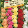 Sperli Stockrose Prachtmischung, mehrfarbig: Blumensamen mit Blüten in Gelb, Rot, Rosa und Weiß.