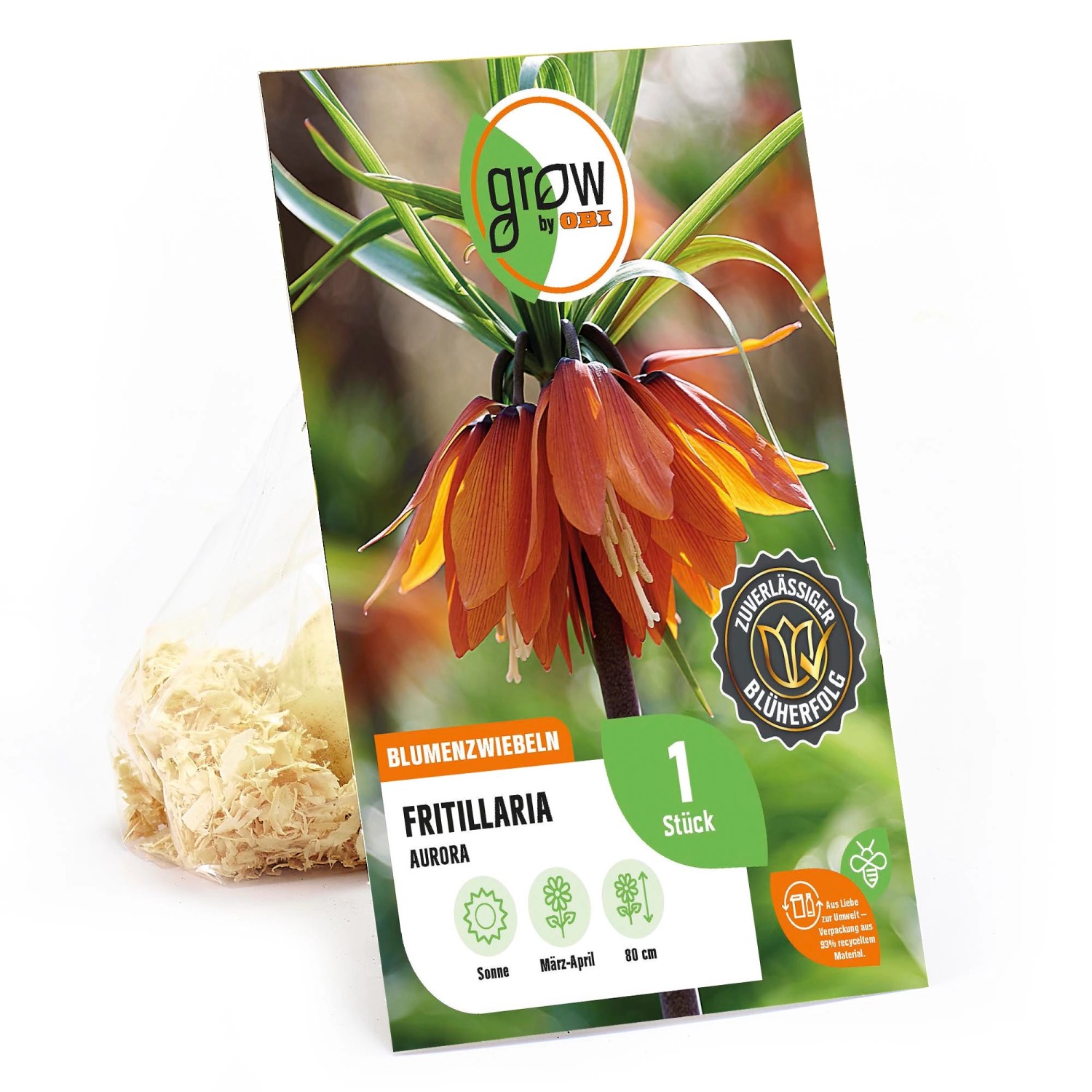 GROW by OBI Kaiserkrone Aurora Orange 1 Stück Fritillaria imperalis Aurora günstig online kaufen
