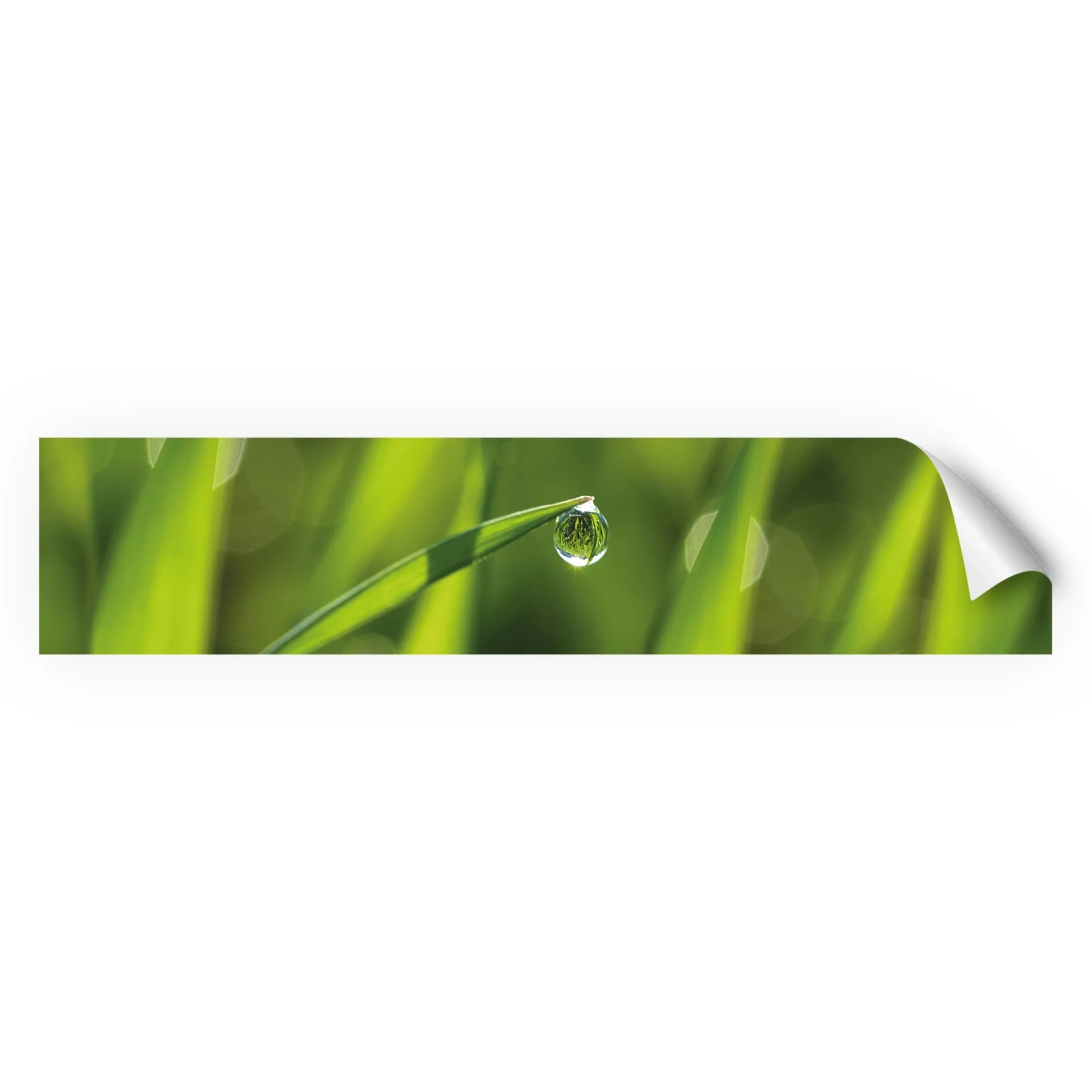 Myspotti Küchenrückwandfolie Tautropfen Selbstklebend 280 cm x 60 cm