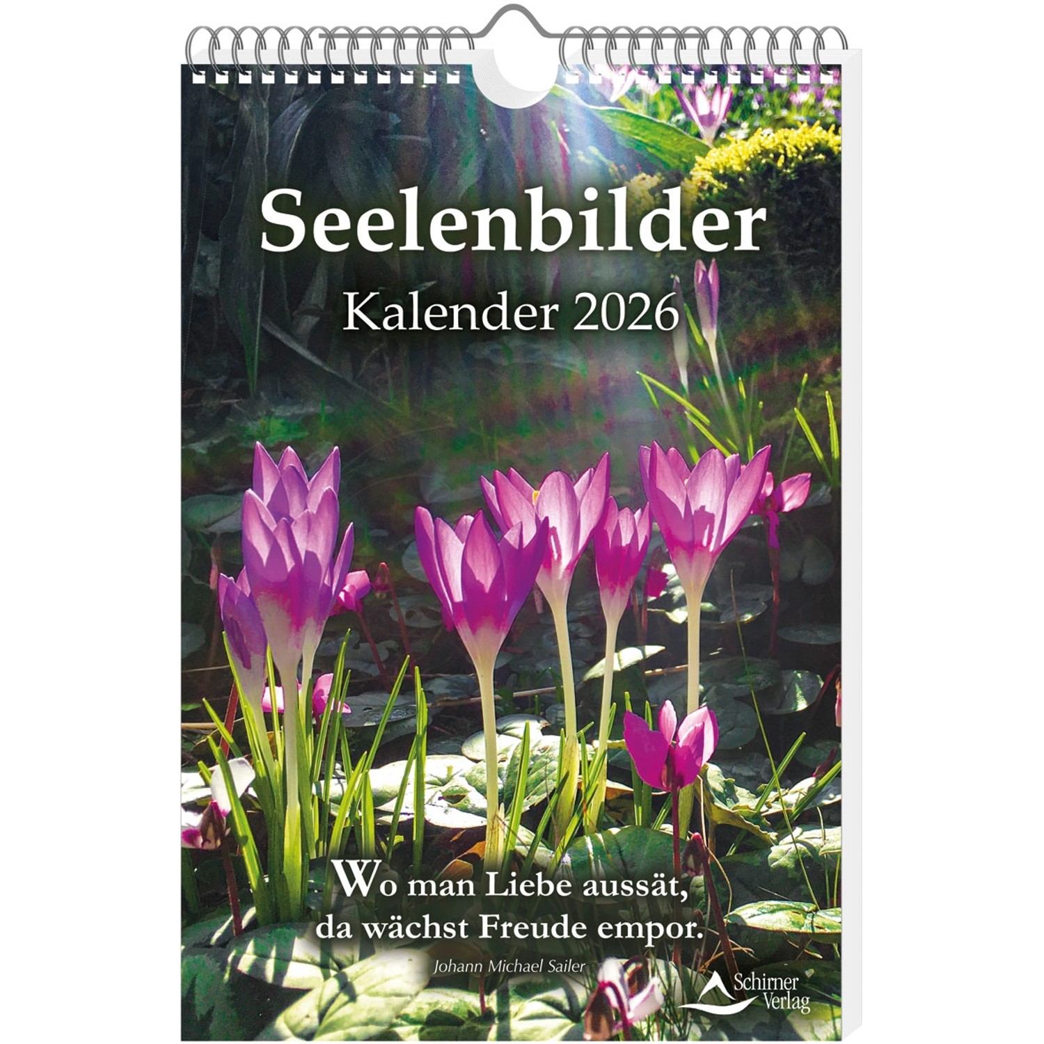 Seelenbilder-Kalender 2026 günstig online kaufen