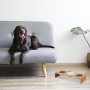 Erhöhte Relaxdays Futterstation aus hellem Bambus mit 3 weißen Keramiknäpfen für Hunde, gefüllt mit Trockenfutter und Wasser.