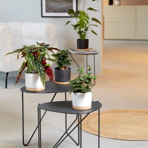 Scheurich Übertopf Weiß Matt mit Holzuntersetzer, Durchmesser 13,5 cm, für Zimmerpflanzen.