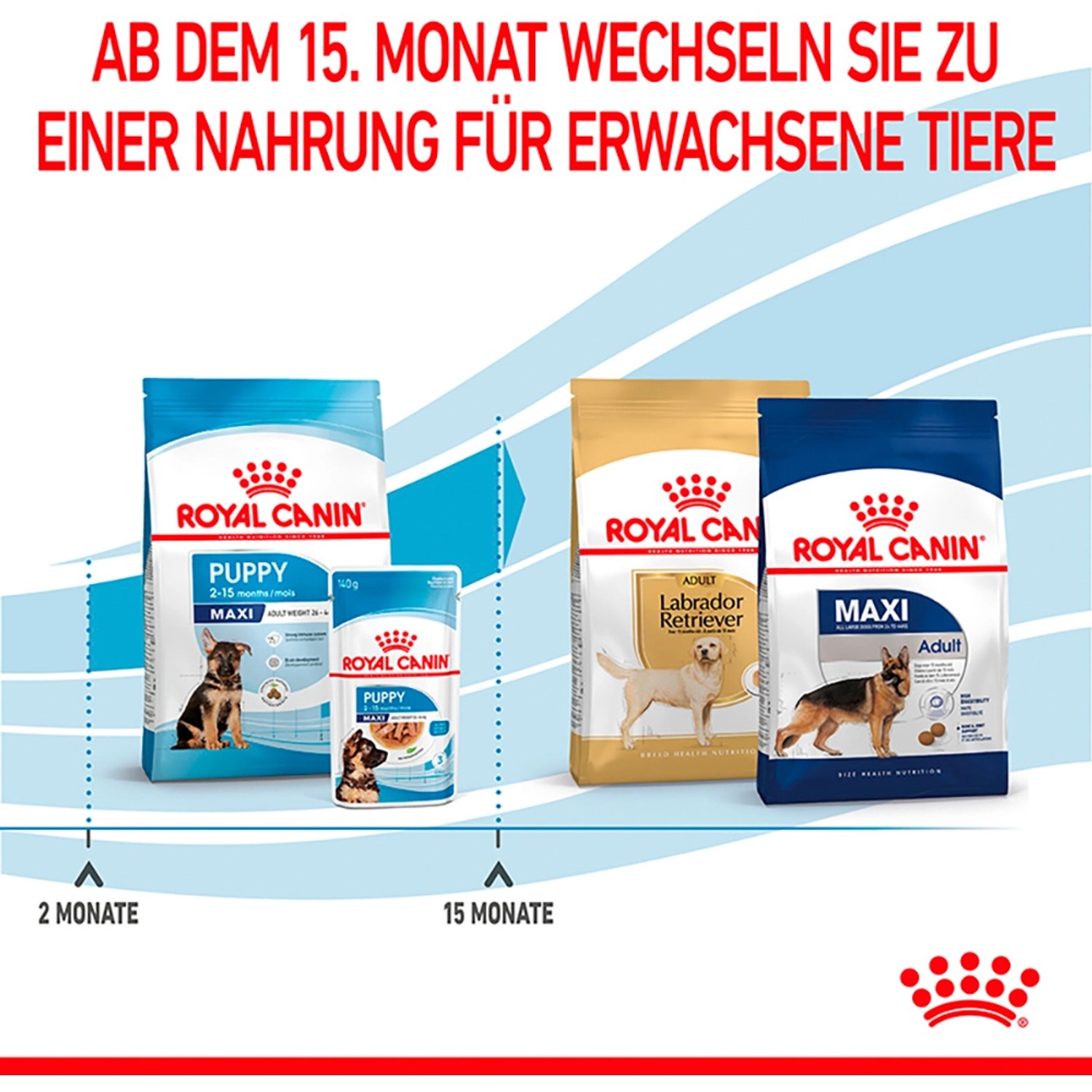 Royal Canin Maxi Puppy Trockenfutter für Welpen großer Rassen, verschiedene Altersstufen.