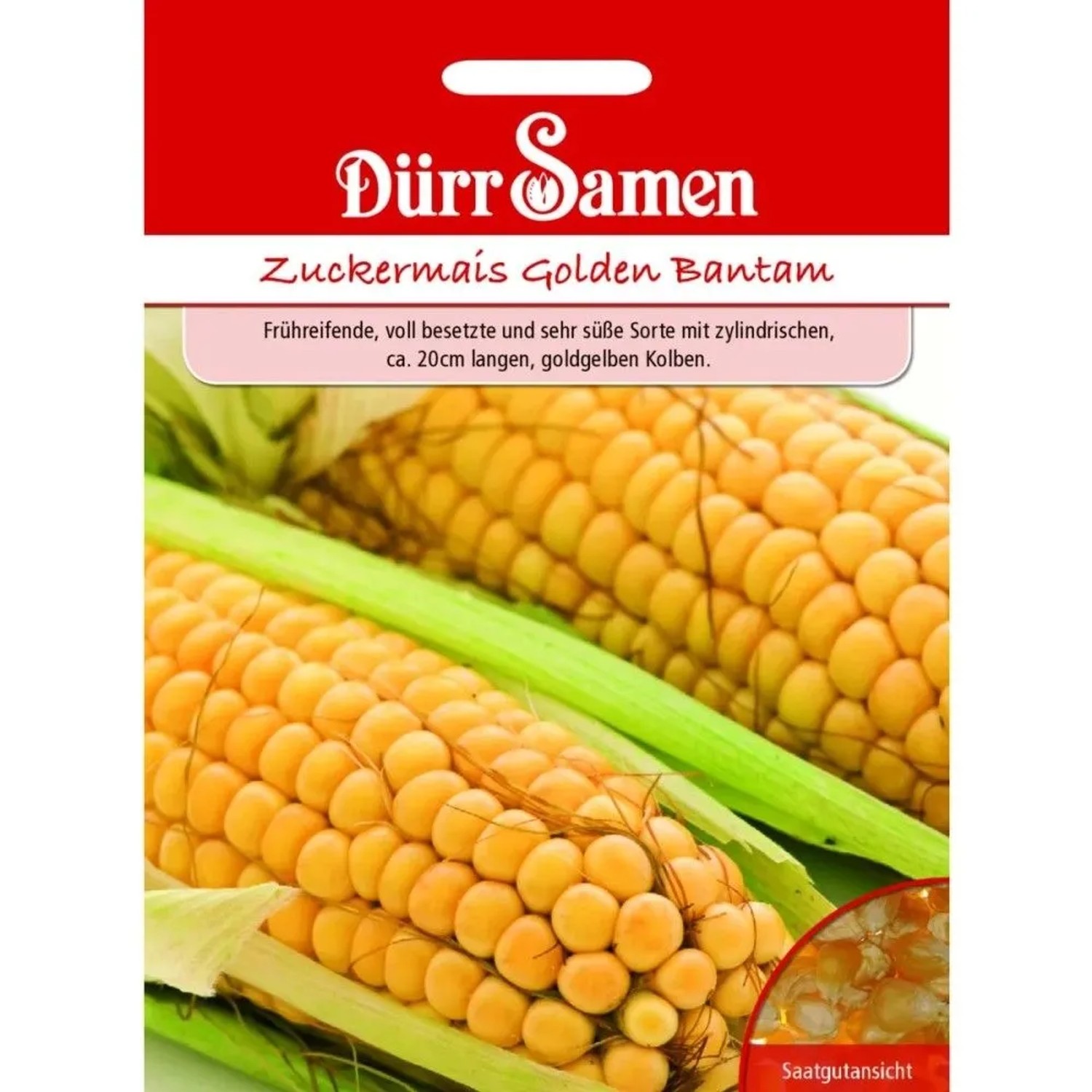 Dürr Samen Zuckermais Golden Bantham Saatgut