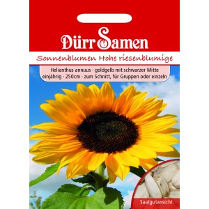 Dürr Samen Sonnenblume 'Hohe Riesen': Goldgelbe Blüte mit dunkler Mitte, ideal für Garten & Schnittblumen.