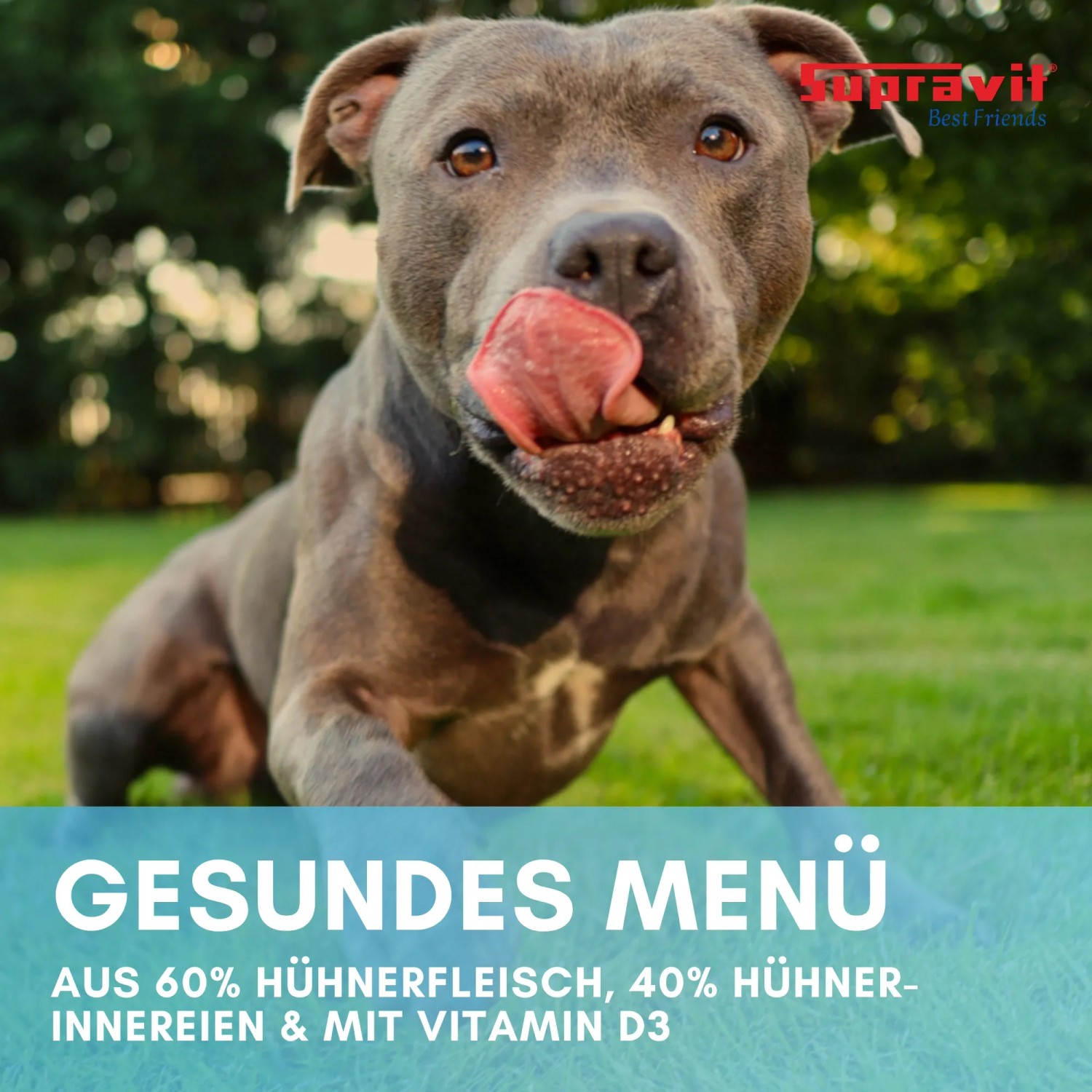 Supravit Hundenassfutter mit Huhn_4