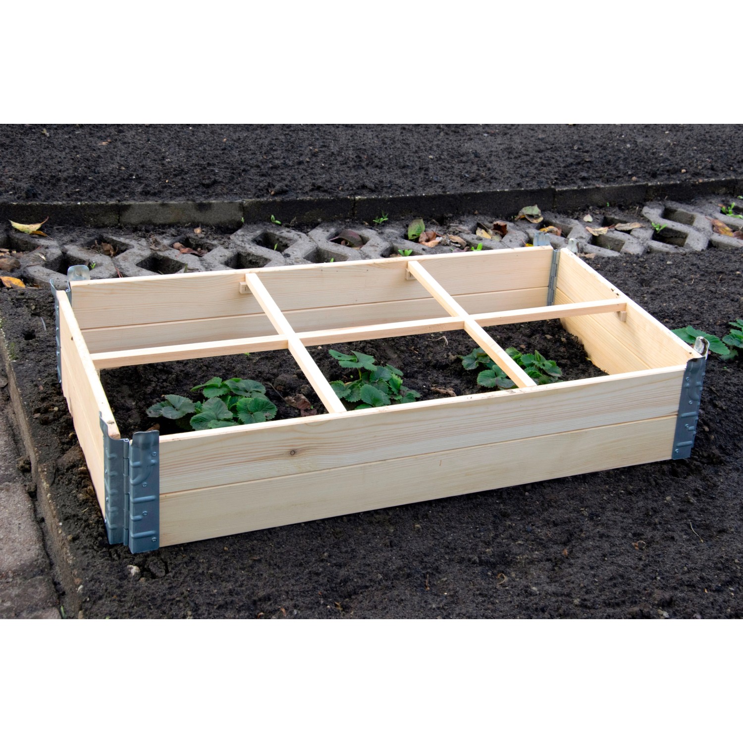 Frühbeet Pflanzbeet Untersatz Größe L aus Kiefernholz mit jungen Pflanzen.