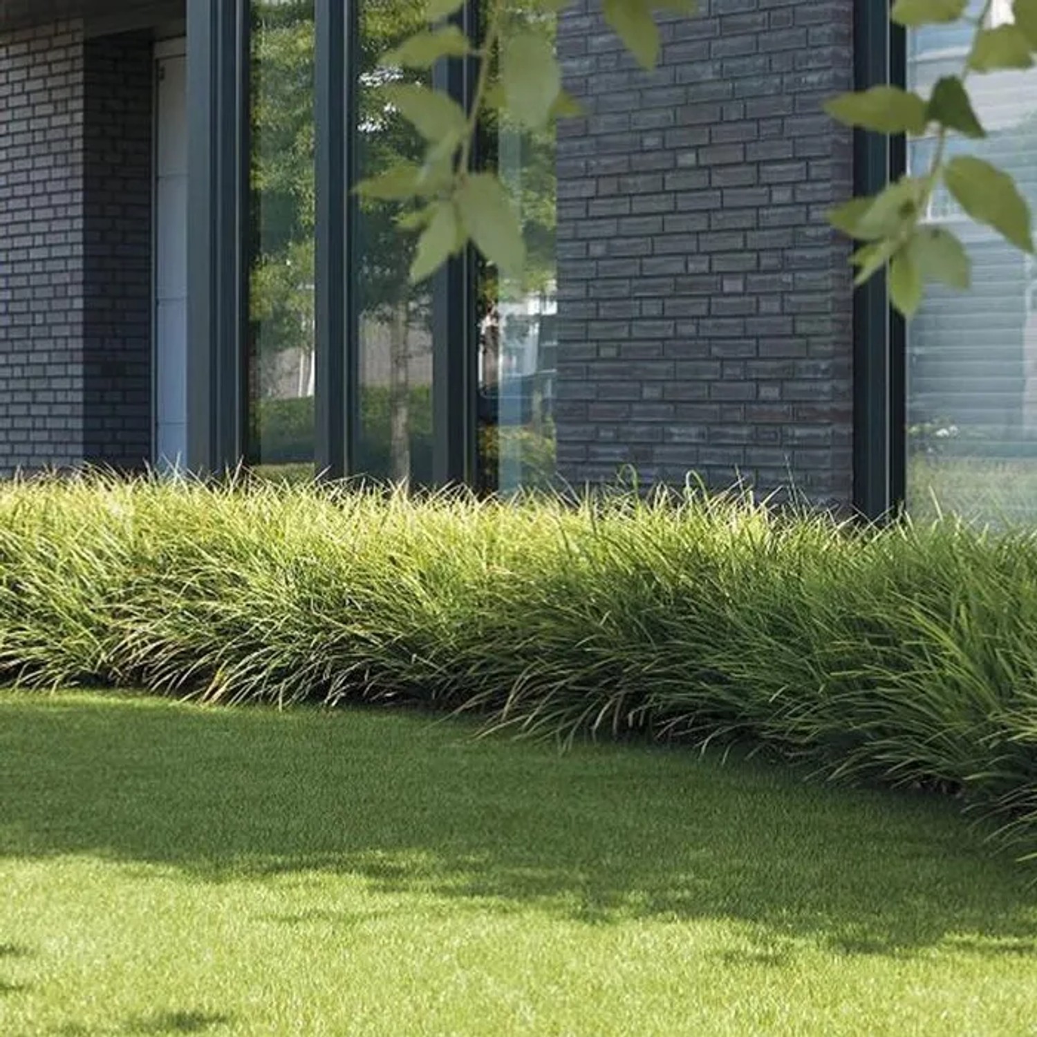 Karat Kunstrasen Windsor 25mm, UV-beständig, 200x600cm vor modernem Haus.