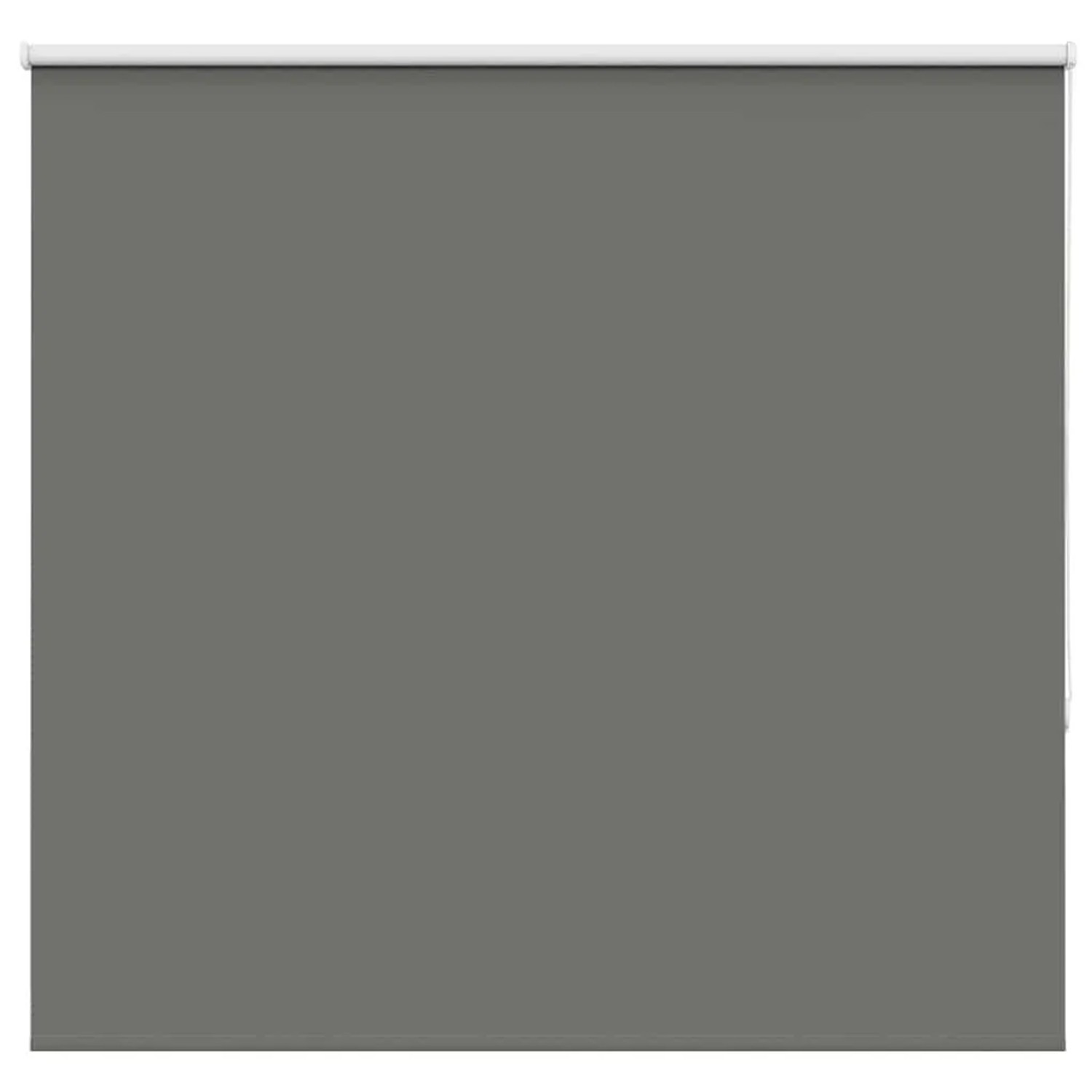 vidaXL Verdunkelungsrollo Grau 160x175cm Stoffbreite 156,6cm Polyester 4011 günstig online kaufen