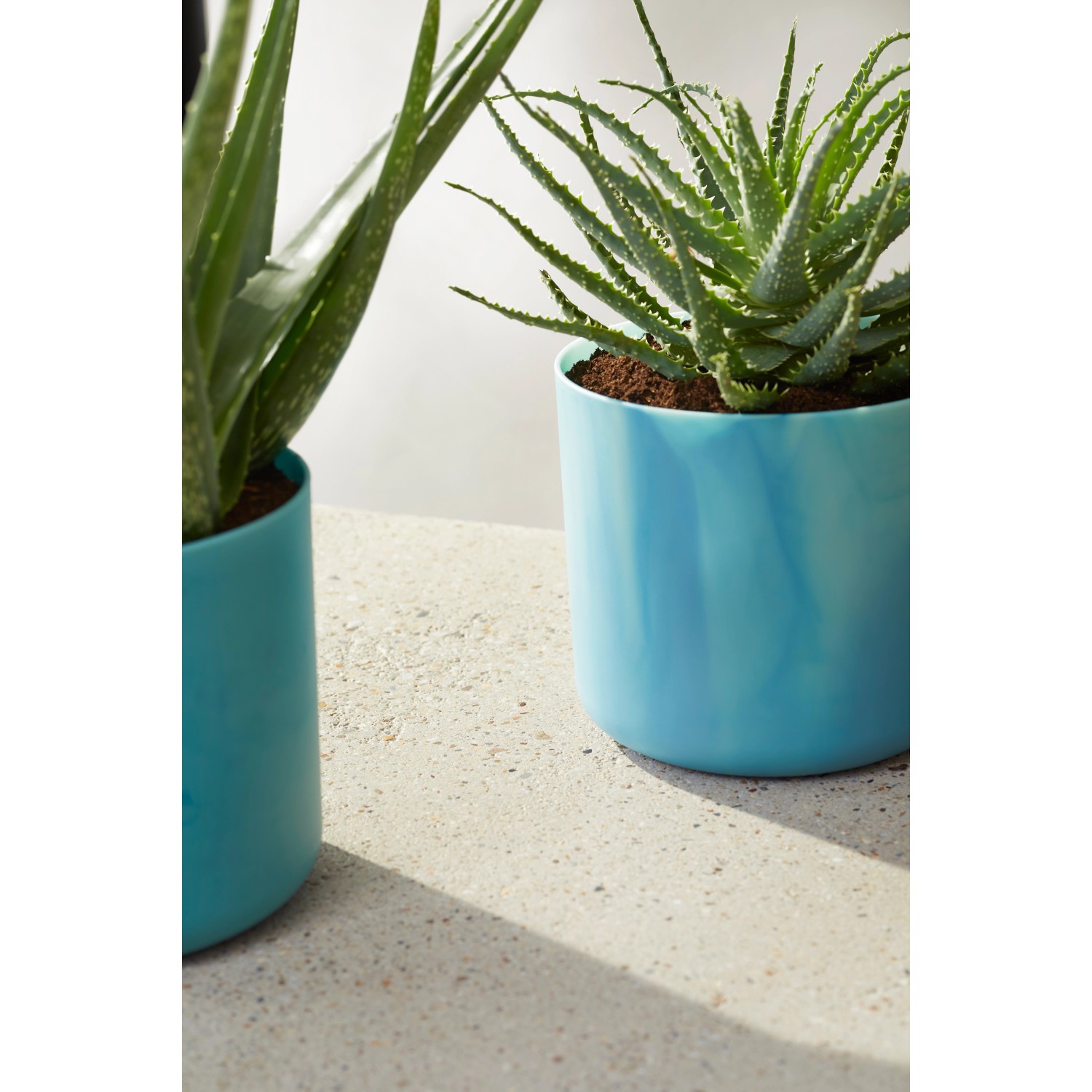 Elho Blumentopf Ocean Collection, Ø 16 cm, atlantikblau, mit Pflanze.