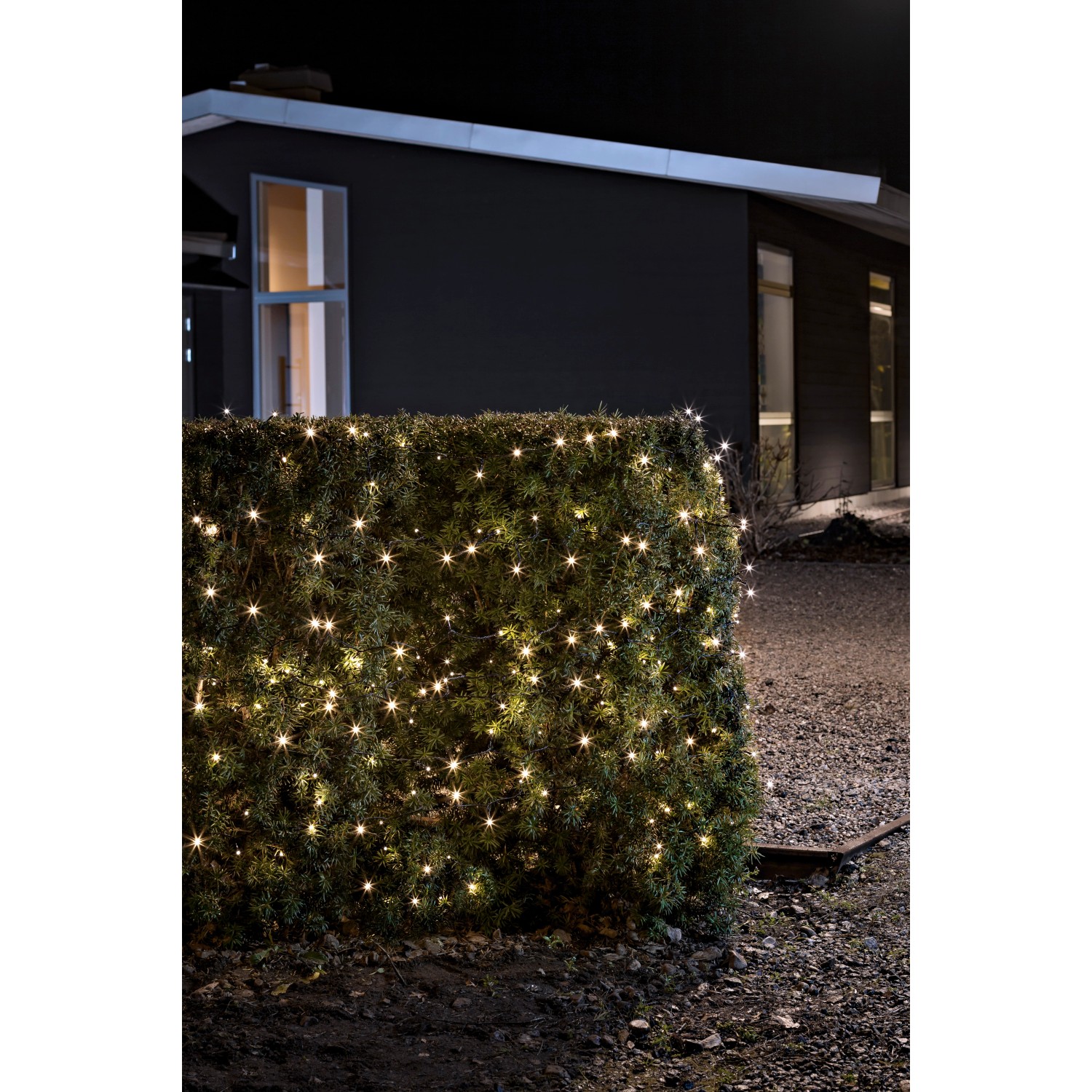 Konstsmide LED-Lichterkette mit 240 warmweißen LEDs und Timer an einem Busch im Garten.