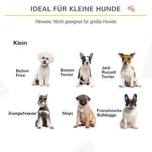 Geeignet für kleine Hunde: Auswahl verschiedener Hunderassen wie Mops, Zwergschnauzer und Boston Terrier.