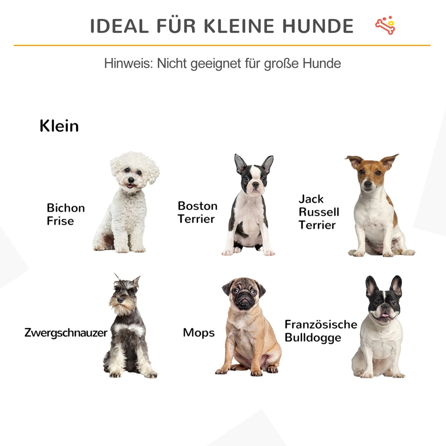Geeignet für kleine Hunde: Auswahl verschiedener Hunderassen wie Mops, Zwergschnauzer und Boston Terrier.