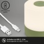 Grüne Brilo Akku-Tischleuchte Smal mit USB-Kabel. Mobile LED-Dekoleuchte für den Außenbereich.