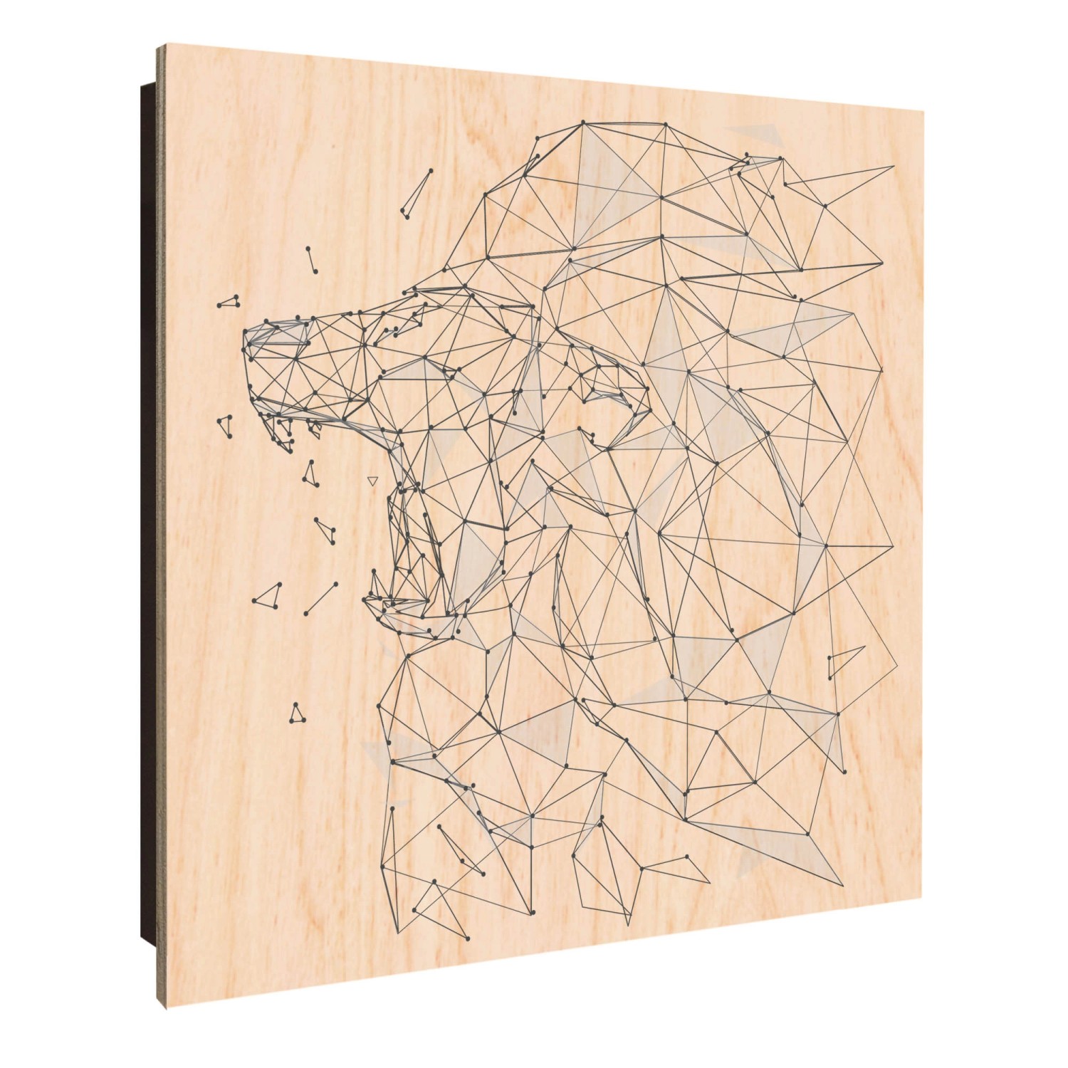 Banjado Großer Schlüsselkasten Holz 30x30cm Schwarz Scharnier Links 50 Hake günstig online kaufen