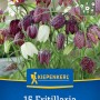 Kiepenkerl Schachbrettblumen Mischung, 15 Blumenzwiebeln mit charakteristischen, glockenförmigen Blüten.