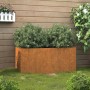 Rechteckiger Pflanzkübel aus Cortenstahl, rostbraun, mit grünen Pflanzen im Garten. Maße: 62x30x29 cm.