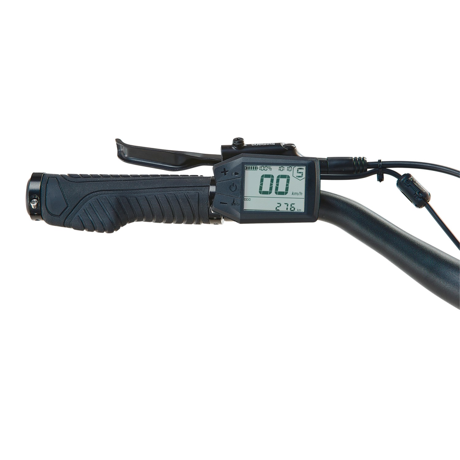 Nahaufnahme: Lenker des Prophete Trekking E-Bike Entdecker 3.0 mit LCD-Display und Ergo-Griffen.