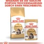 Royal Canin Maine Coon Adult Katzenfutter, 4kg Trockenfutter und Frischebeutel.