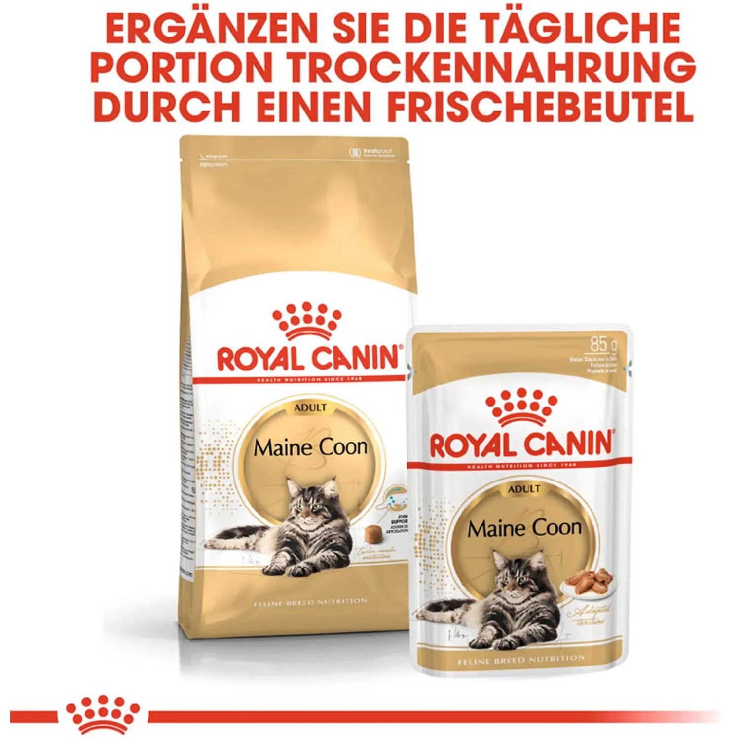 Royal Canin Maine Coon Adult Katzenfutter, 4kg Trockenfutter und Frischebeutel.