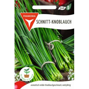 FRANKONIA Schnitt-Knoblauch Lauch Schmeckt wie Knoblauch