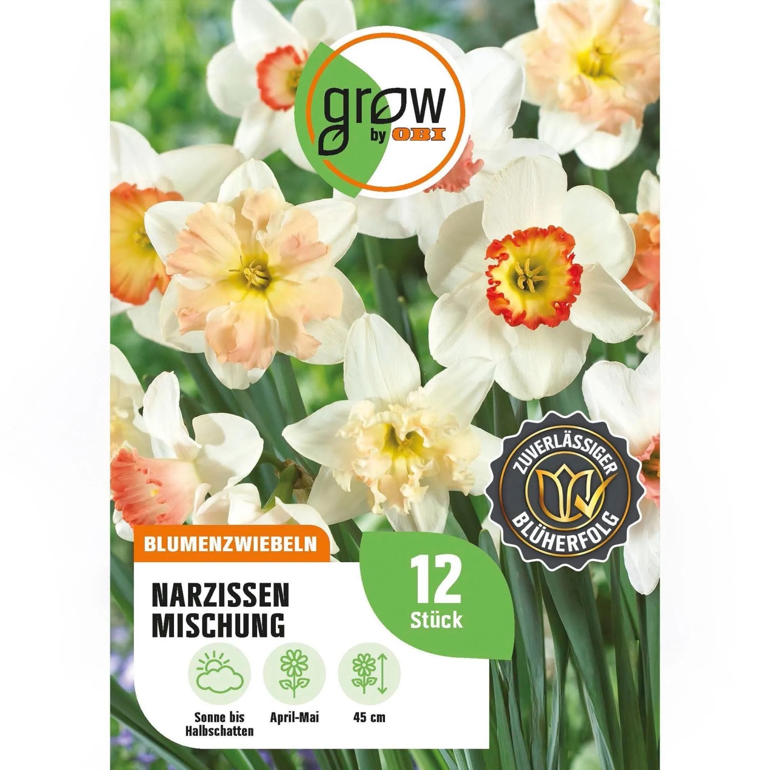GROW by OBI Narzissen Rosa Mischung Weiß 12 Stück Narcissus Mixed