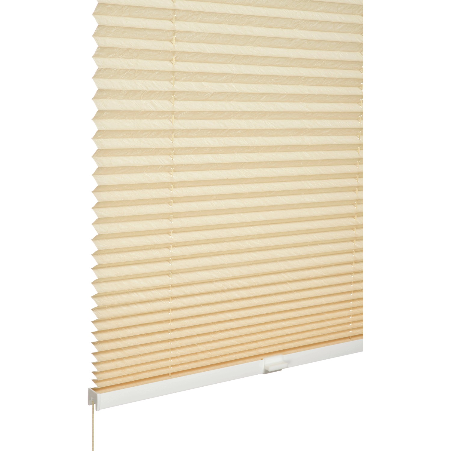 Schöner Wohnen Plissee Milla 80 cm x 130 cm Beige günstig online kaufen