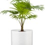 Scheurich Übertopf 828, Ø 19 cm, Panna: Keramiktopf mit Rillenstruktur für Innenräume.