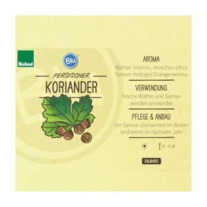 Bio Persischer Koriander: Kräuterpflanze mit grünen Blättern und Samen, ideal zum Würzen von Speisen.