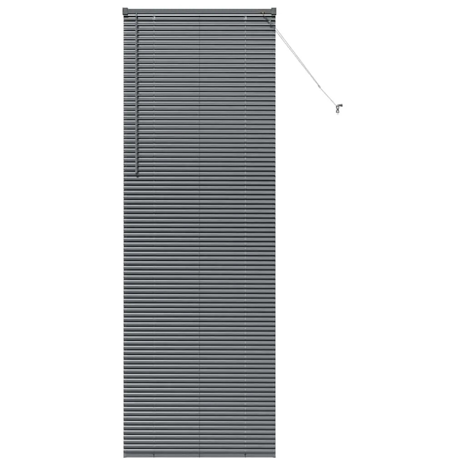 vidaXL Balkenjalousien mit Vorhängen Dunkelgrau 220 x 75 cm Aluminium 42006 günstig online kaufen