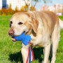 Hund mit blauem Petsation Kauspielzeug Rocket für Intelligenztraining im Maul.