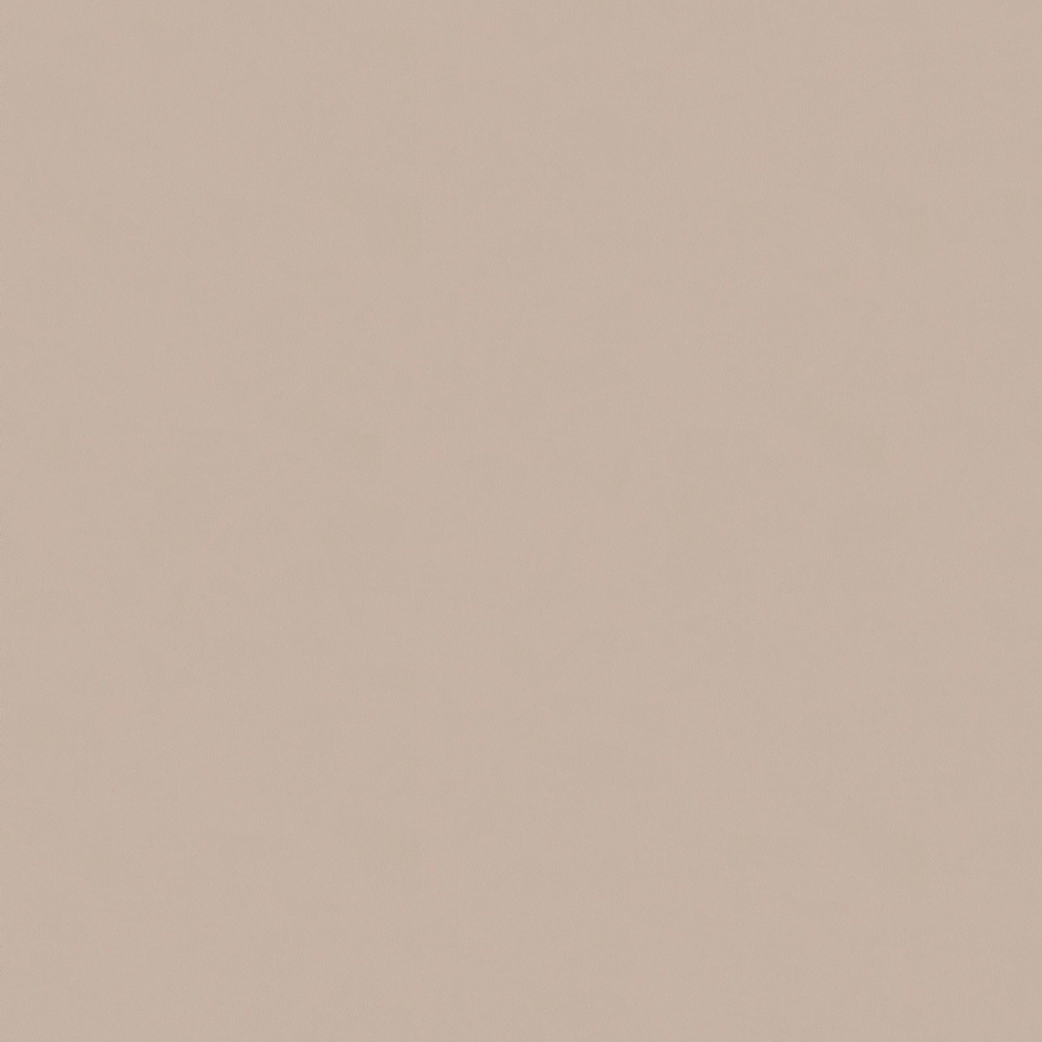 Bricoflor Taupe Tapete Modern Einfarbige Vliestapete in Beige Ideal für Woh günstig online kaufen