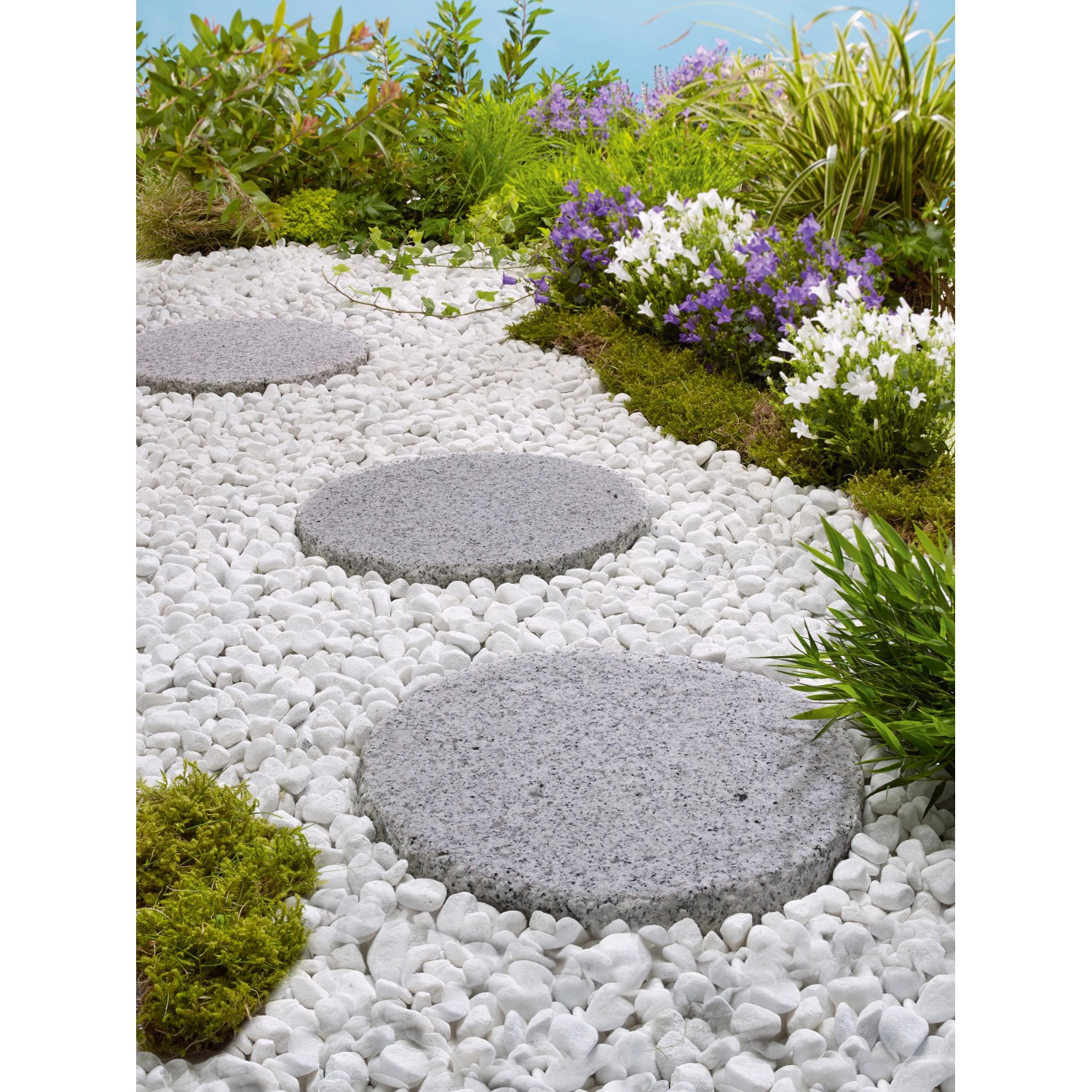 Naturstein-Trittsteine Sino Grau, Ø 25 cm, im Gartenweg mit weißen Zierkieseln.