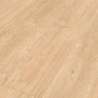 Classen Laminat Grande XXL Eiche Chantilly Sand, wasserfest, 8mm stark.