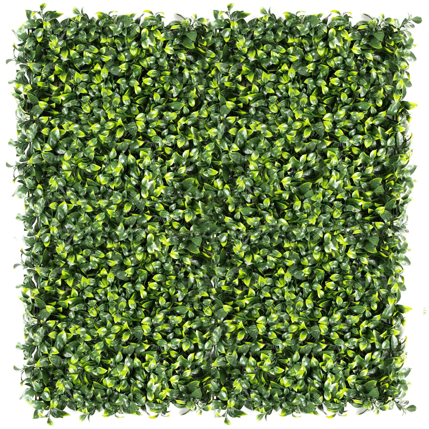 Primaflor Kunsthecke Ilex 100x100cm günstig online kaufen