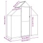 Maßzeichnung: Silbernes vidaXL Gewächshaus 169x58x195cm aus Aluminium mit Fundamentrahmen, Tür und Dachfenster.