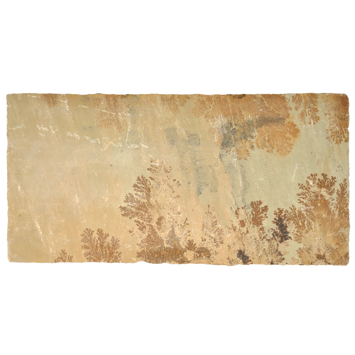 Terrassenplatte Sandstein Gold-Braun, 60x40x3 cm, robust und ideal für Terrassen & Gehwege.