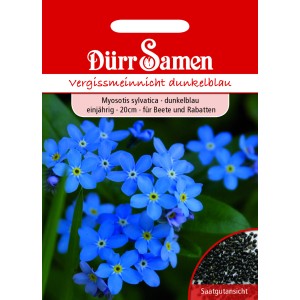 Dürr Samen Vergissmeinnicht Blau, einjährig. Blühende, blaue Blumen für Beet und Garten.