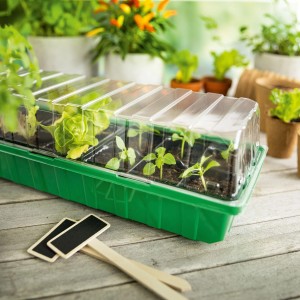 Zimmer-Gewächshaus inklusive 18 Anzuchttöpfen