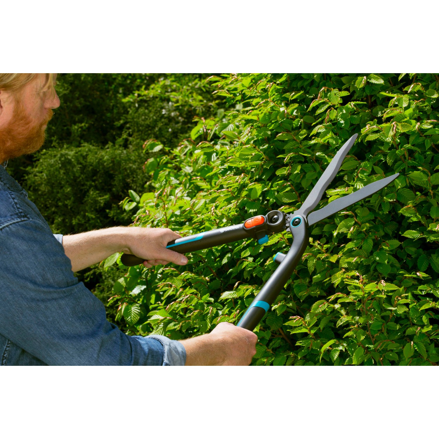Gardena EnergyCut 2in1 Hand-Heckenschere im Einsatz beim Heckenschnitt.