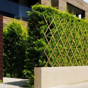 Ausziehbares Bambus Rankgitter 150x180 cm als Rankhilfe und Gartendeko.