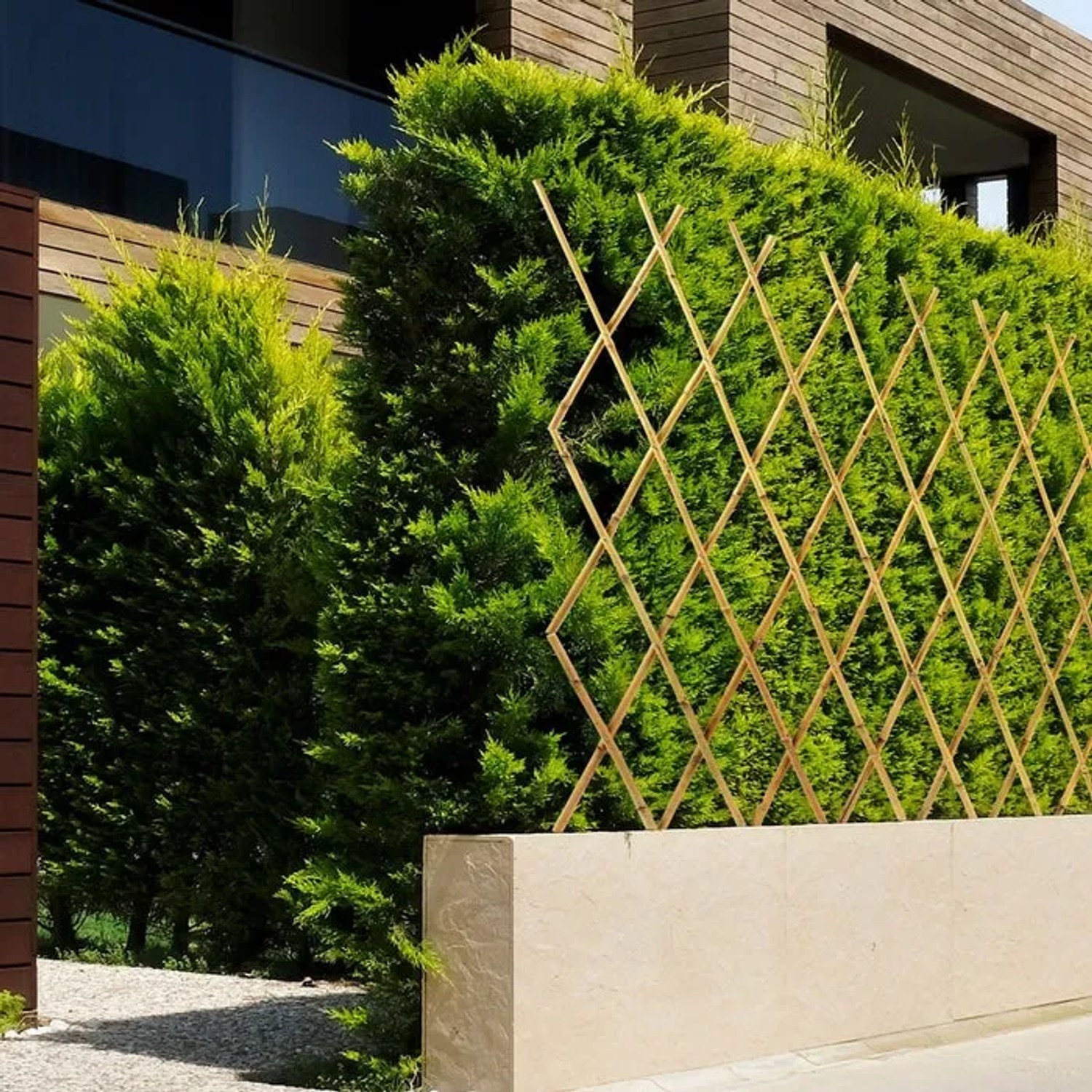 Ausziehbares Bambus Rankgitter 150x180 cm als Rankhilfe und Gartendeko.