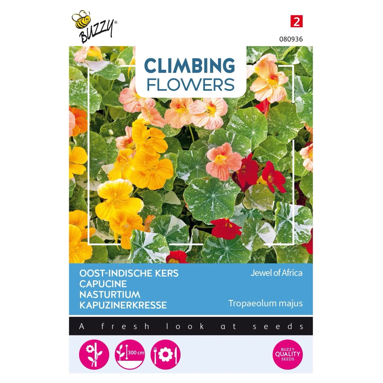 Kapuzinerkresse 'Jewel of Africa' Buzzy Climbing Flowers Samen Ca. 3 g Exotische Kletterpflanze